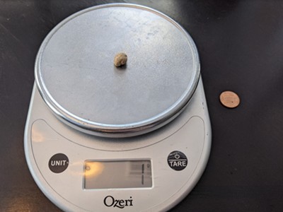 A pebble on a scaled showing it weighs about 1 gram