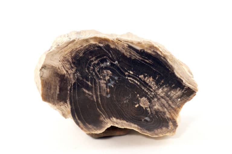 Idaho Rockhounding Location Guide & Map – Rockhound Resource