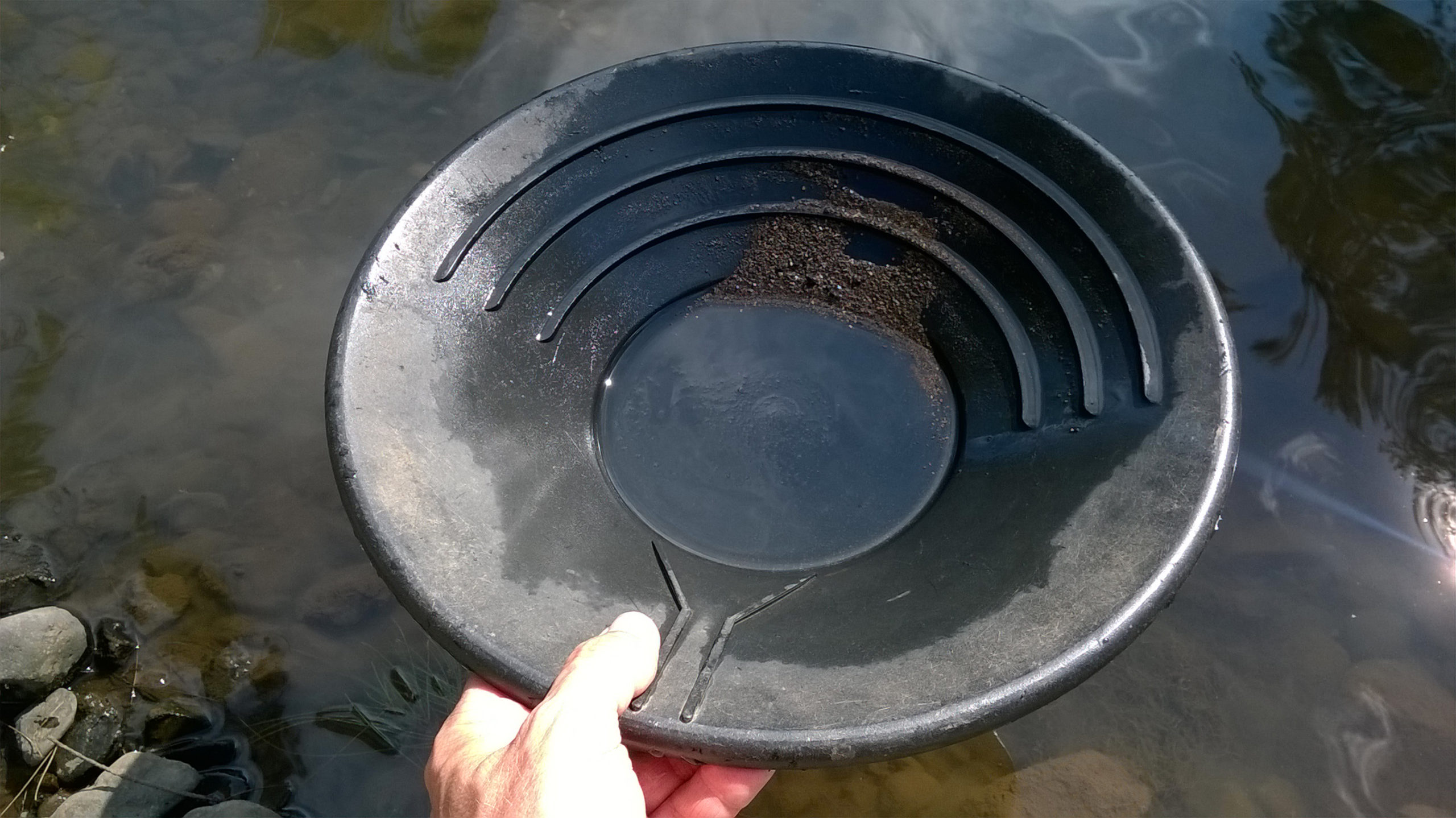 Gold pan with fine sediment and some fine gold