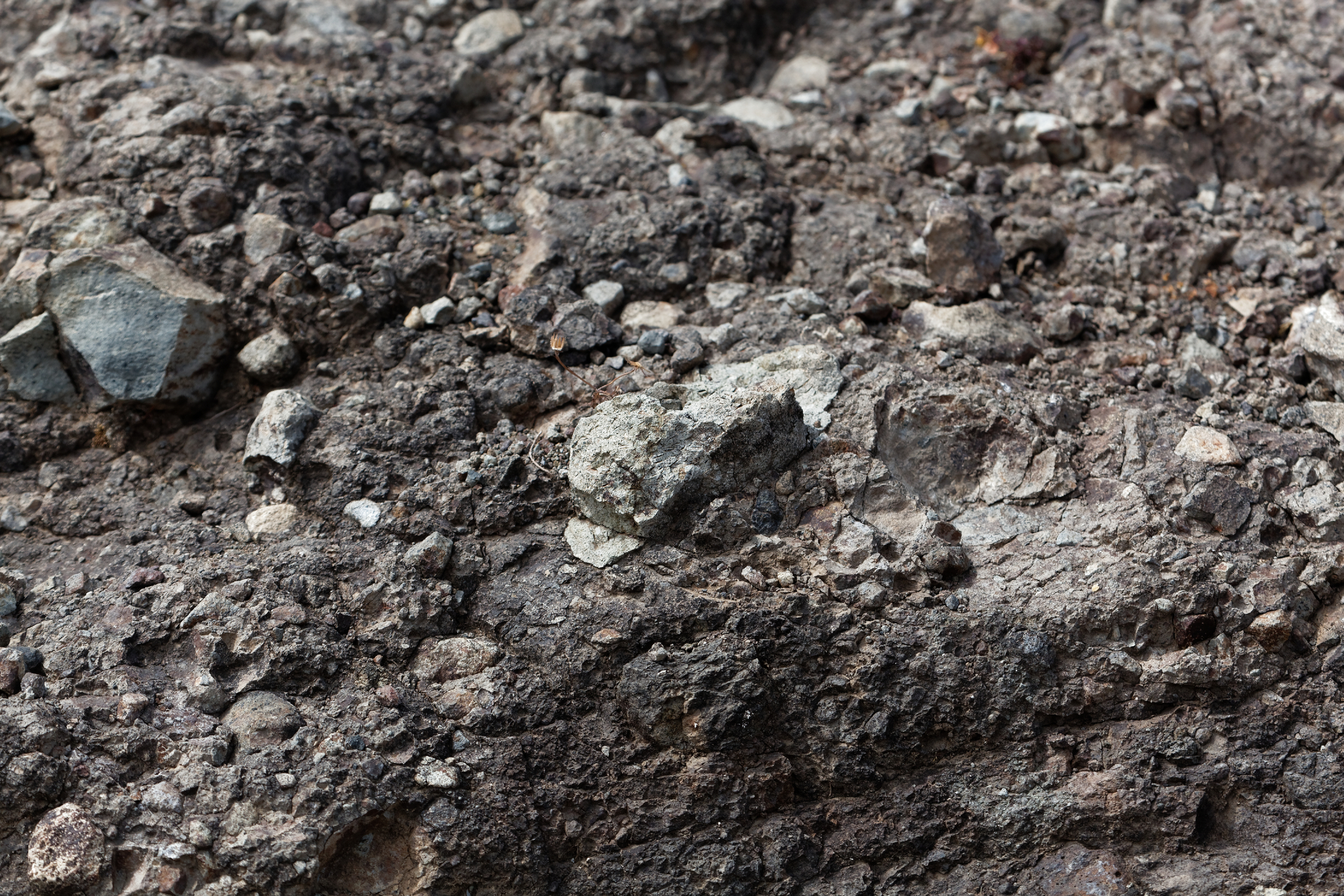 Pyroclastic Breccia, formed from a volcanic eruption