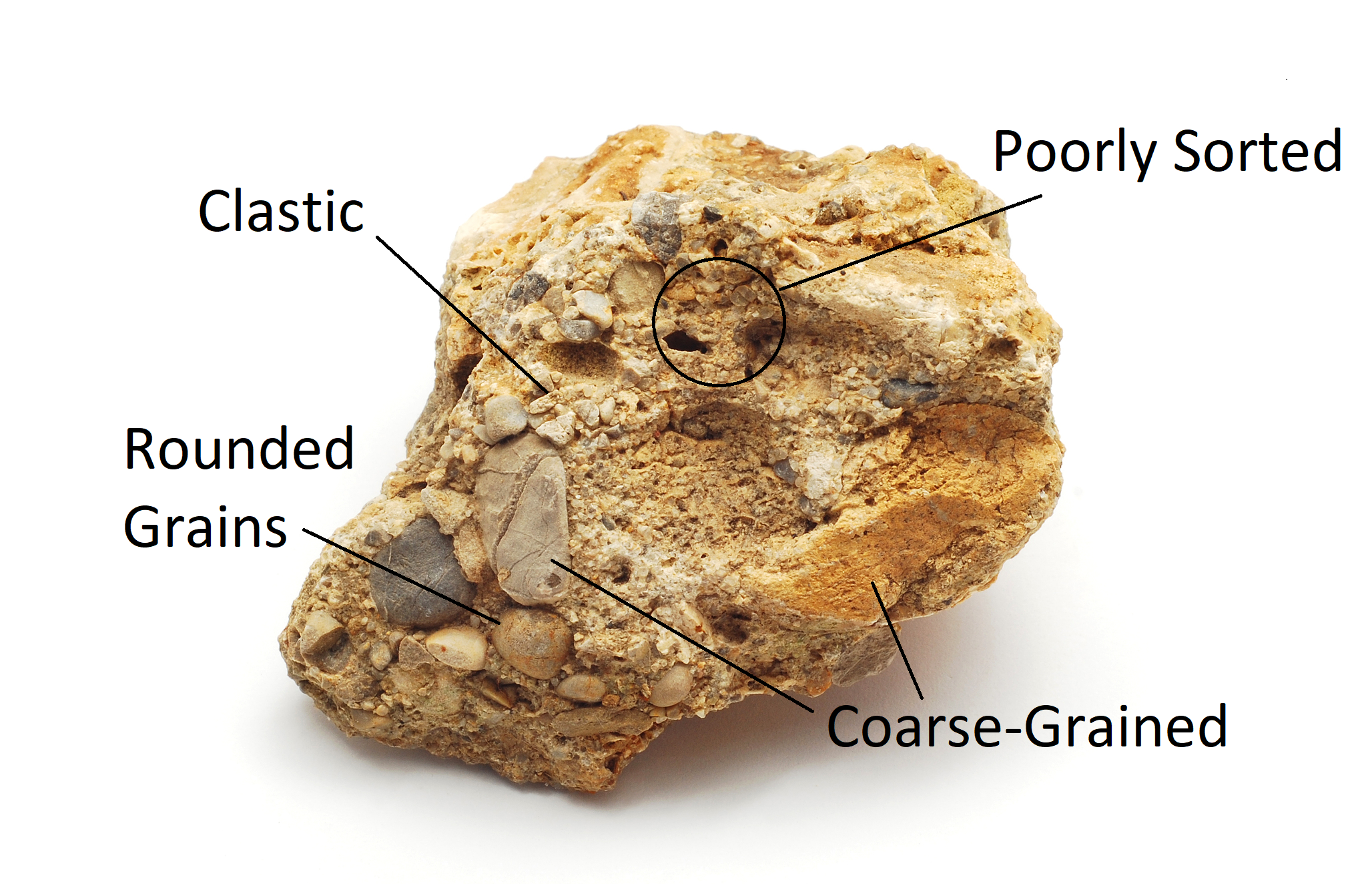 Conglomerate with annotations showing its characteristics
