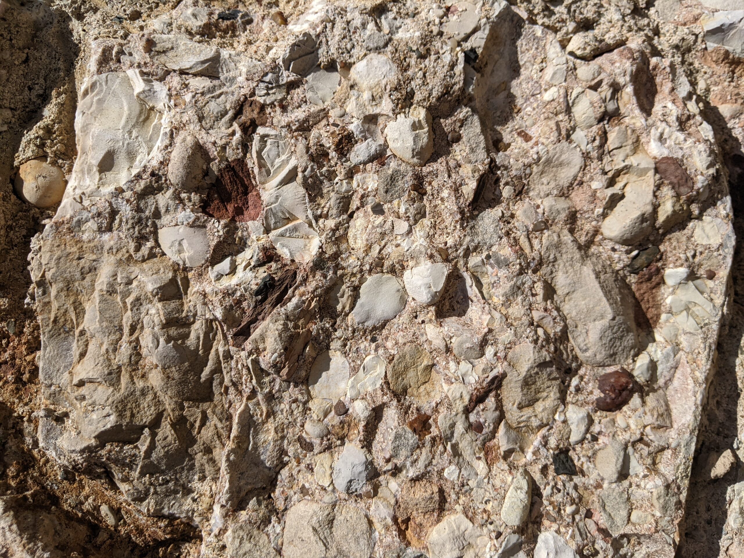 Close up picture of the Montserrat Conglomerate